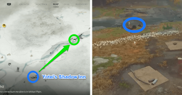 How to Find Taro the Scavenger