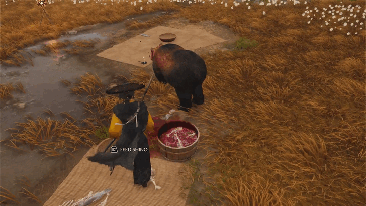 Ghost of Yotei Feed Shino