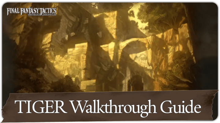 TIGER Walkthrough Guide