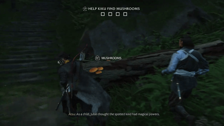 Help Kiku Find Mushrooms