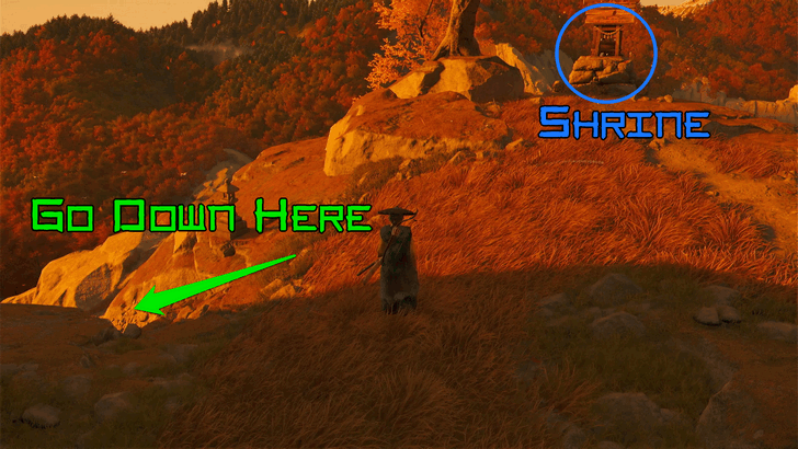 Ghost of Yotei Slide Down the Slope