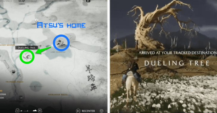 GOY - Dueling Tree 1