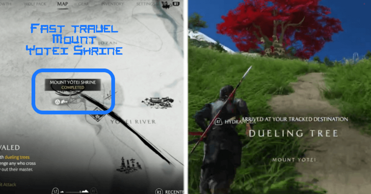 GOY - Dueling Tree 2