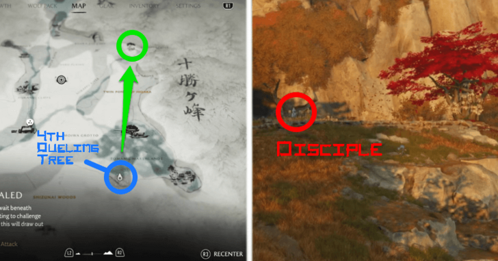 GOY - Dueling Tree 5