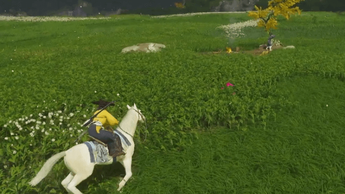 Set Up Camp in Open Fields