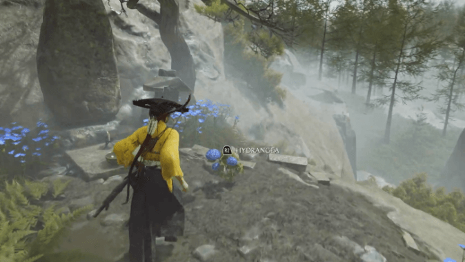 Found in High Places.png