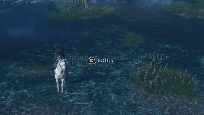 Lotus.png