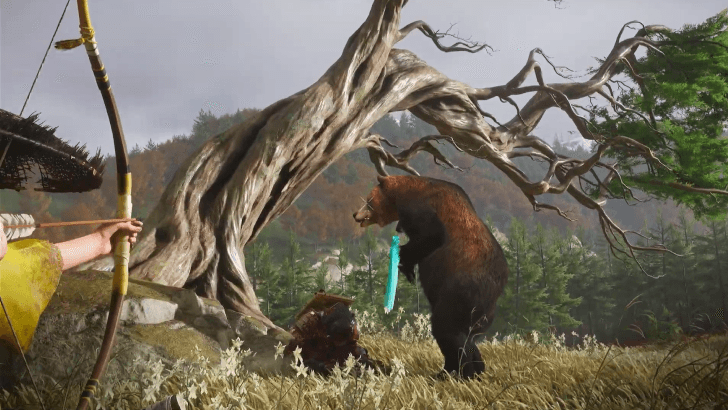 Use the Bow against a Bear