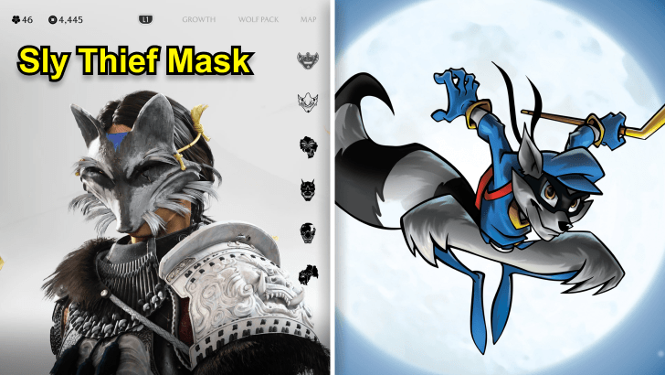 Sly Thief Mask