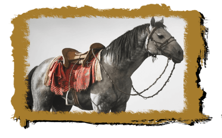 Words By the Fire,Icon