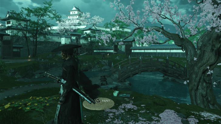 Imperial Sakura Sumi-e