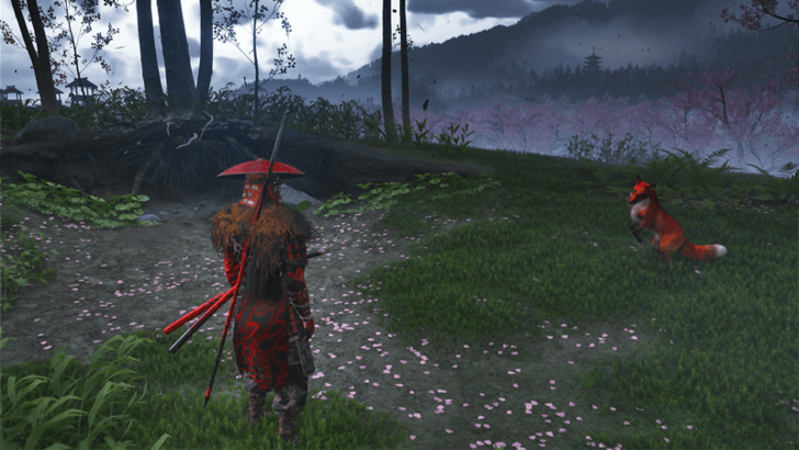 Blushing Forest Fox Den