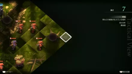 Araguay Woods Treasure