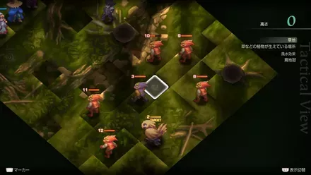 Araguay Woods Treasure