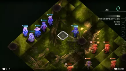 Araguay Woods Treasure