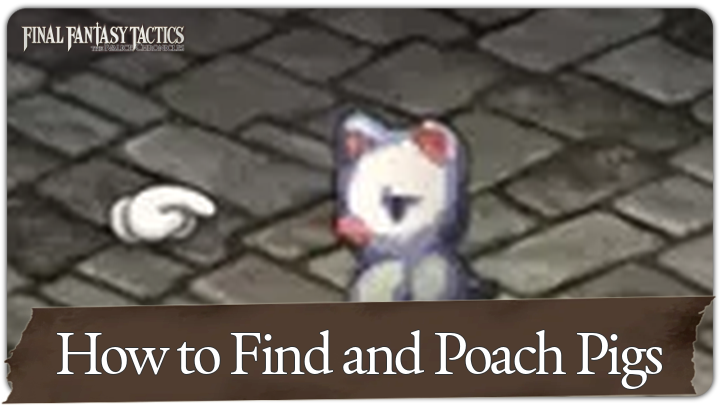 How to Find and Poach Pigs