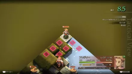 Fort Besselat Sluice Treasure