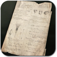 Silent Hill f - Research Notes on "Exotic Herbology"