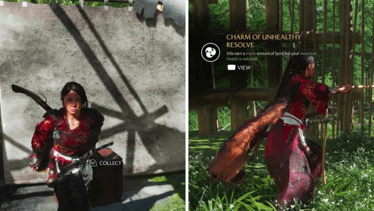 The Face of a Master Rewards