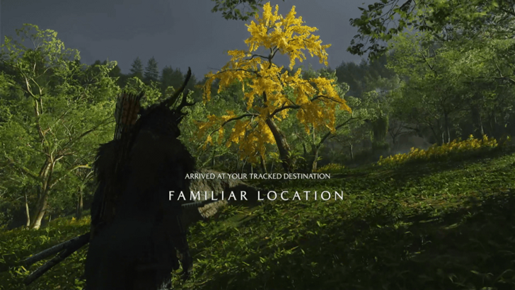 A Memory of Guidance