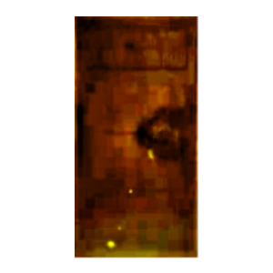 Silent Hill f Inari-sama Door Icon