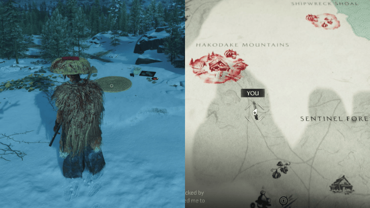 Headband of the Wild