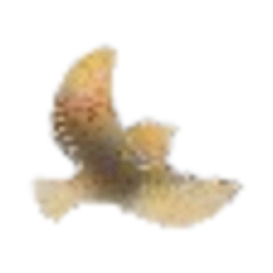 Points of Interest Pin