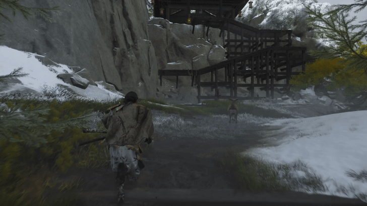 Ask the Deer to Guide You