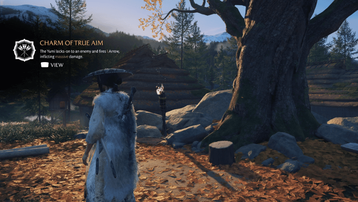 Get the Charm of True Aim