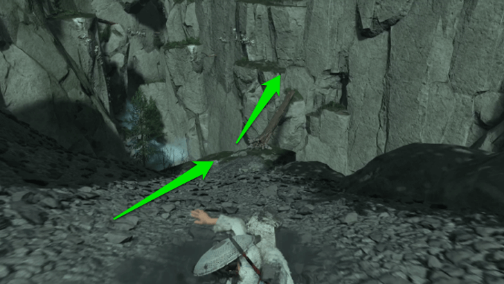 Cross the Fallen Tree