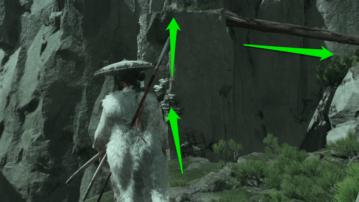 Climb Up and Cross the Tree