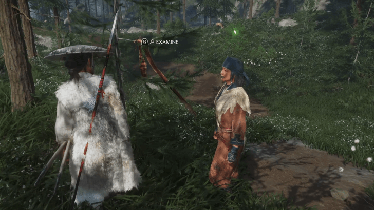 Follow the Bark Strips