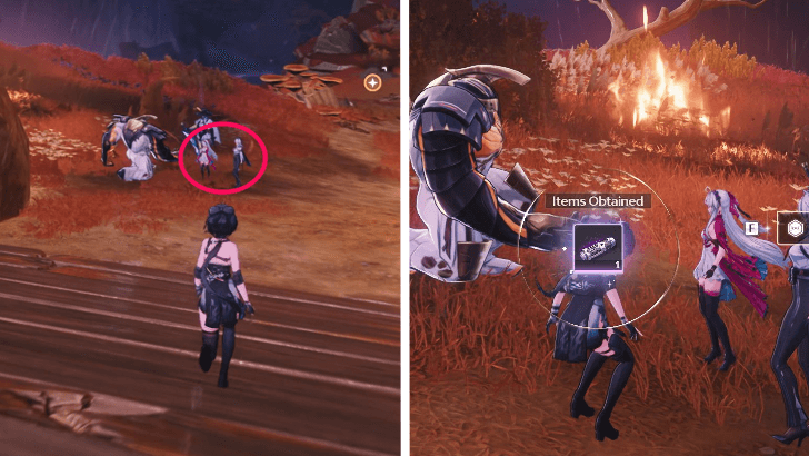 Zani and Carlotta Location