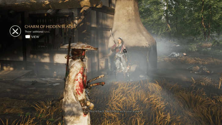 Ghost of Yotei The Winter Farms