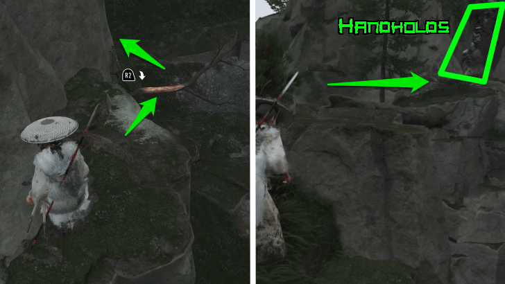 Use the Branch and Log