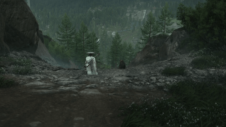 Slide Down the Slopes with the Bear Cub