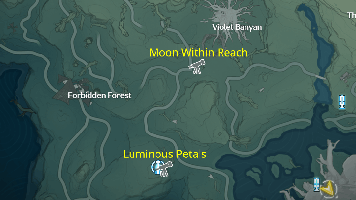 Dim Forest Updated Flat Map