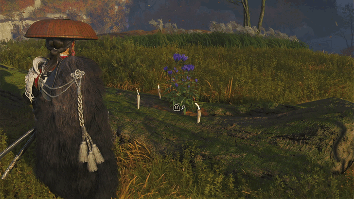 Ghost of Yotei Examine the Flower Surrounded by Candles