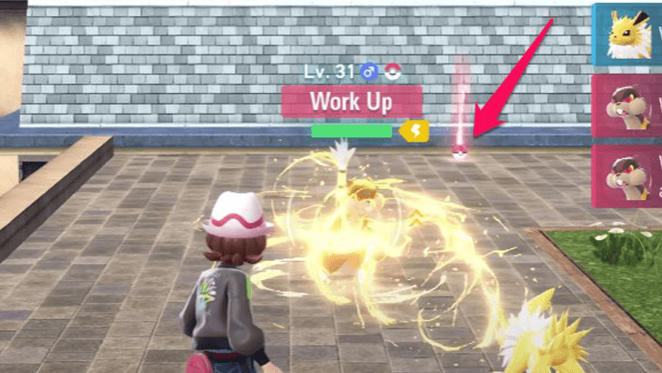 Pokémon Legends  Z-A Item Guide Items From Overworld