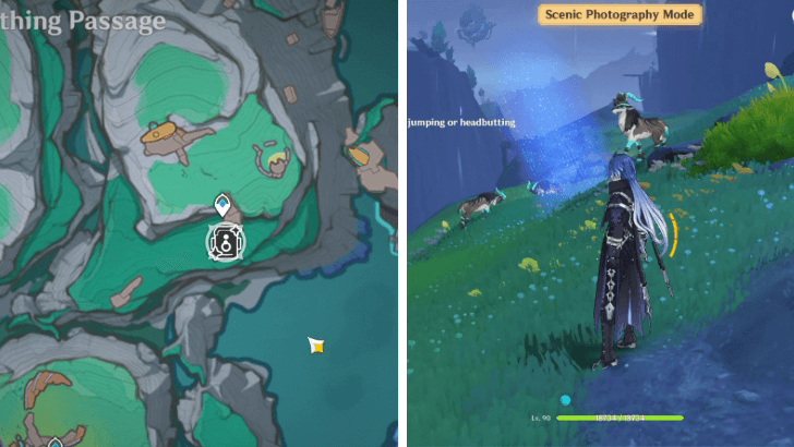 Genshin - Lightgleaner