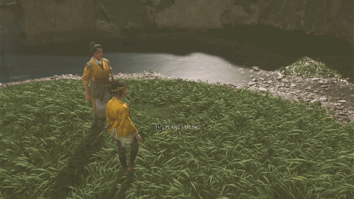 Ghost of Yotei Plant the Sapling