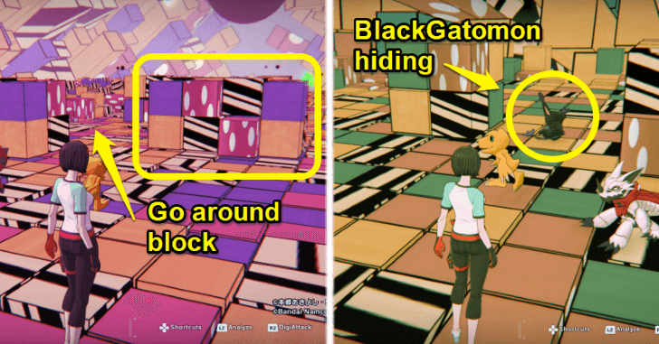 BlackGatomon Hiding