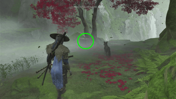 Investigate the Chest