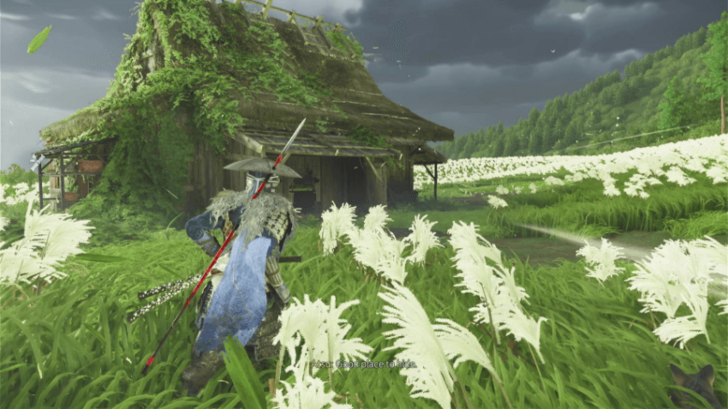 Home of the First Shinobi