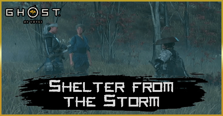 Shelter from the Storm