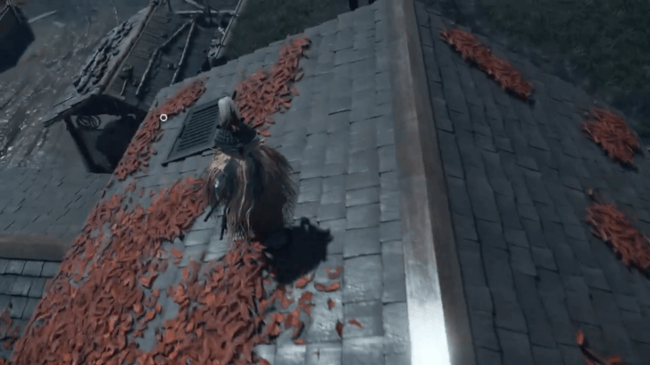 Iwa the Beautiful Orange Leaf Roof