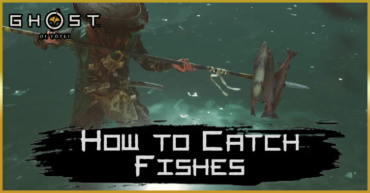 How to Catch Fish