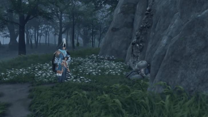 The Last Brother Ronin Gravesite