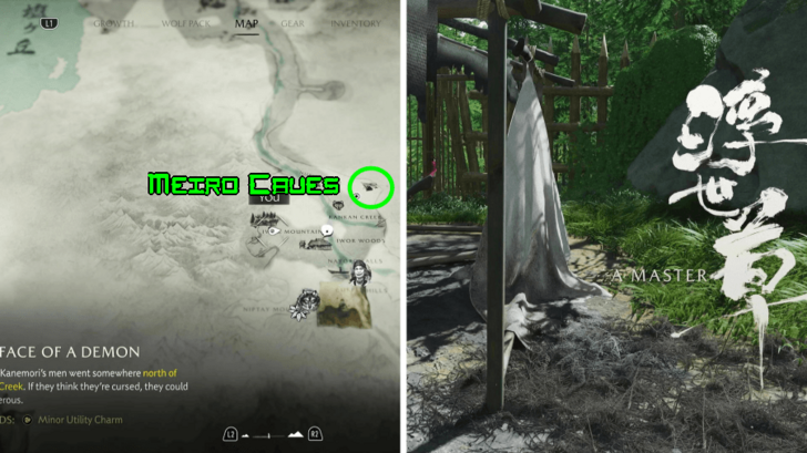 Finish the Face of a Master