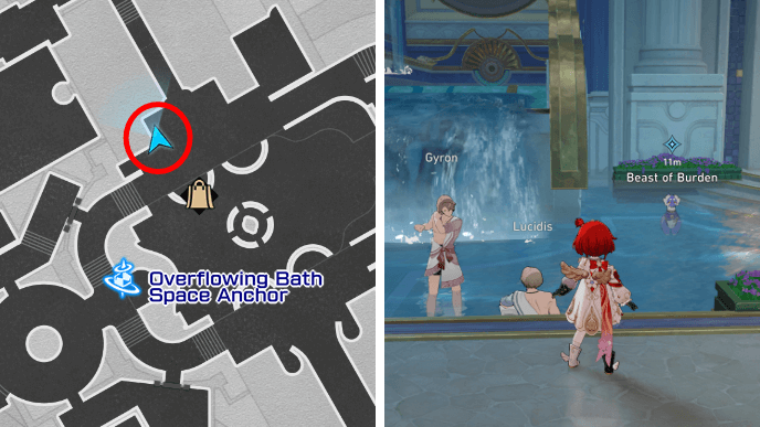 HSR Nice Weather For Dromases Event - Dromas Bath Location